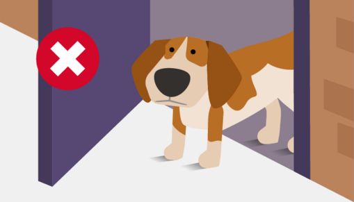 Hond bij deur Houd de hond op afstand